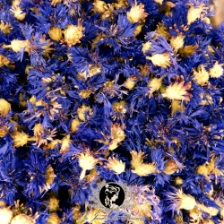 Bleuet des Champs - Centaurea cyanus - Tisane infusion plantes en Vrac