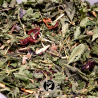 Tisane de Jouvence - Infusion Ortie Églantine