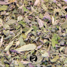 Grande Ortie Piquante Sauvage - Tisane - Infusion - Plante en Vrac - Urtica dioica