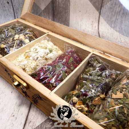 Coffret Dégustation - Thés - Tisanes - Infusions