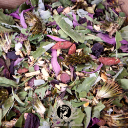 Tisane - Échinacée pourpre, Goji, Aubépine, Hibiscus : Vitalité - Immunité - Énergie