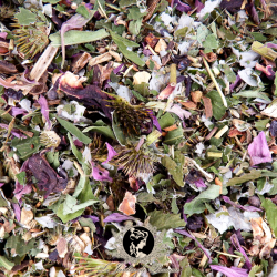 Tisane Échinacée Pourpre - Bouclier immunitaire - Défenses Naturelles - Hiver - Gorge