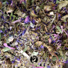 Tisane Immunité - Échinacée pourpre : Émotion