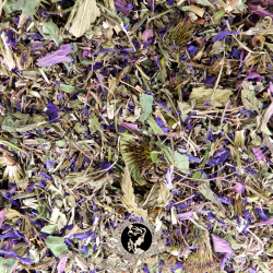 Tisane Immunité - Échinacée pourpre : Émotion - Menthe - Thym Serpolet - Défenses naturelles