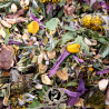 Tisane - Échinacée pourpre : Confort immunitaire - Curcuma - Citron